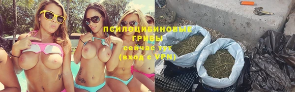 прущие крисы Богданович