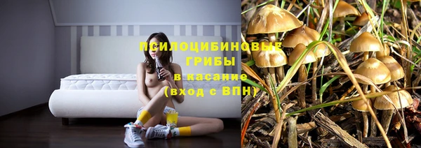винт Богородицк