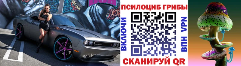 Псилоцибиновые грибы мицелий Калуга